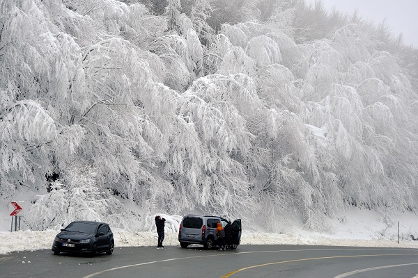 Foto - Istranca Ormanları beyaza büründü