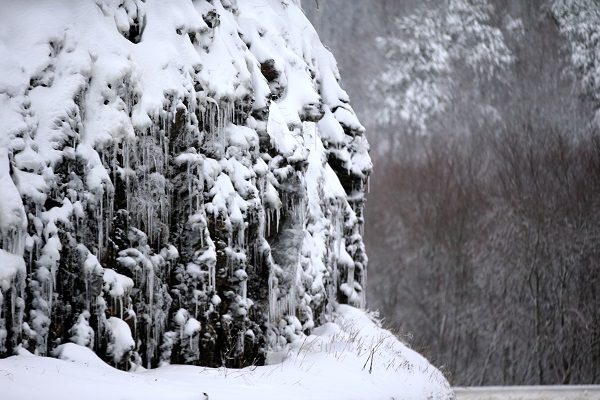Foto - Istranca Ormanları beyaza büründü