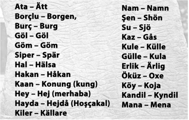 Foto - İsveç tarihinin babası yazdı: Viking tanrısı Odin Türk çıktı