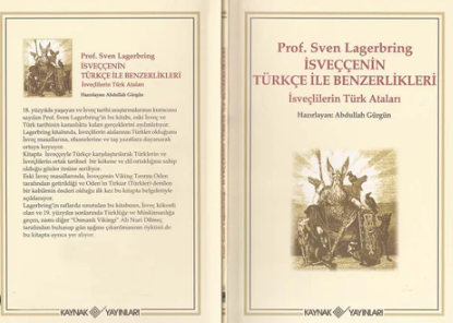 Foto - İsveç tarihinin babası yazdı: Viking tanrısı Odin Türk çıktı