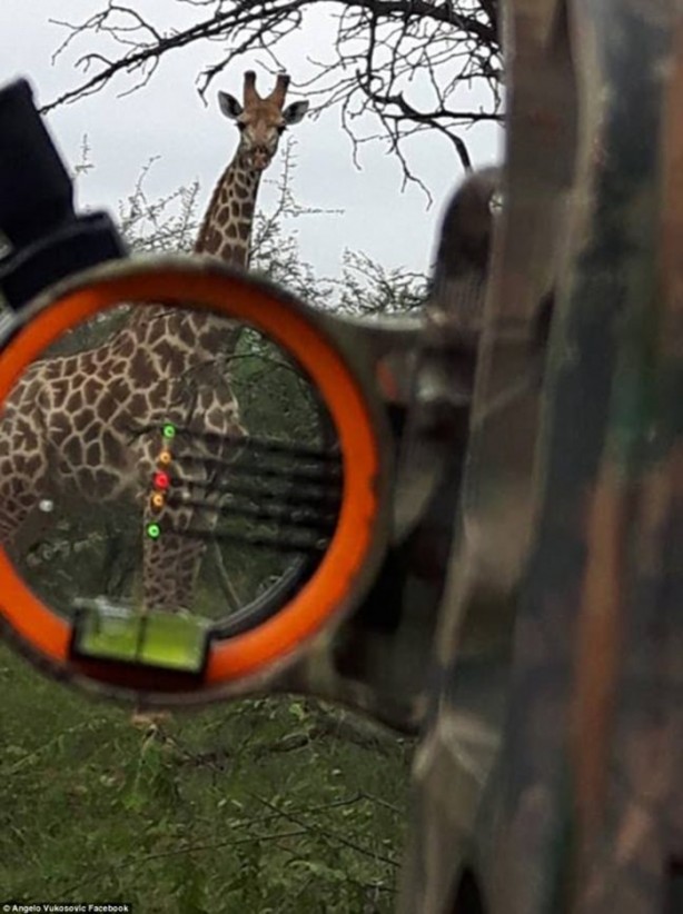 Foto - İsveçli politikacıya tepki yağıyor, bakın neden!