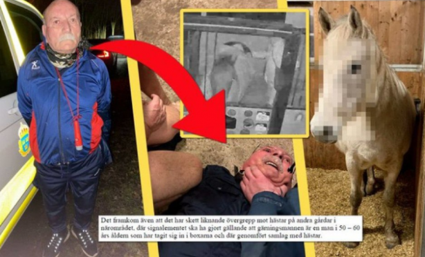Foto - İsveç’te ata tecavüz eden pislik, Türkiye’de belediye başkan yardımcılığı yapmış! 