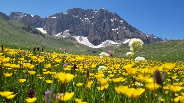 İsviçre Alperi değil, Munzur Dağı'nda ki Merg Yaylası