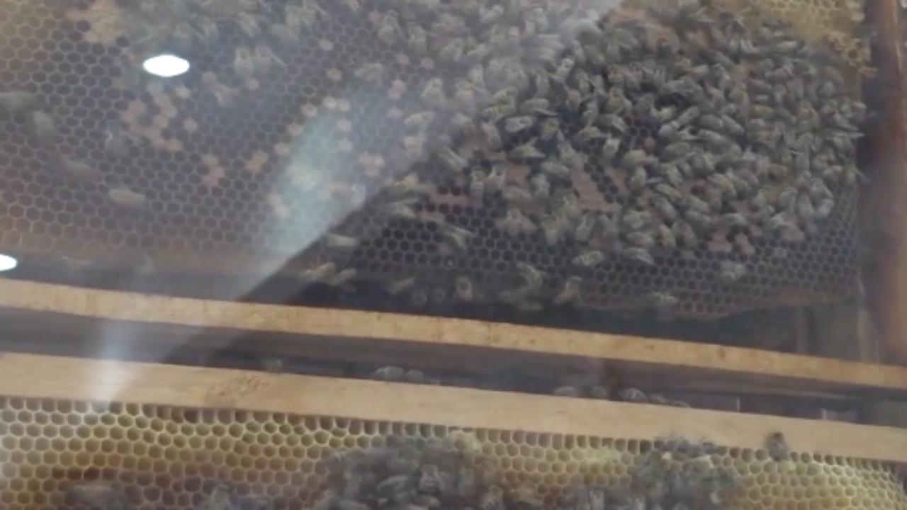 Foto - İsviçre’de gördü, Türkiye’ye döner dönmez koşarak aynısını yaptırdı! Ofisine gidenler izlemeye doyamıyor