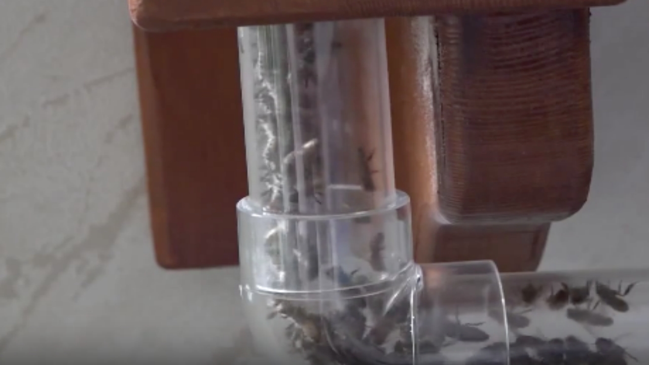 Foto - İsviçre’de gördü, Türkiye’ye döner dönmez koşarak aynısını yaptırdı! Ofisine gidenler izlemeye doyamıyor