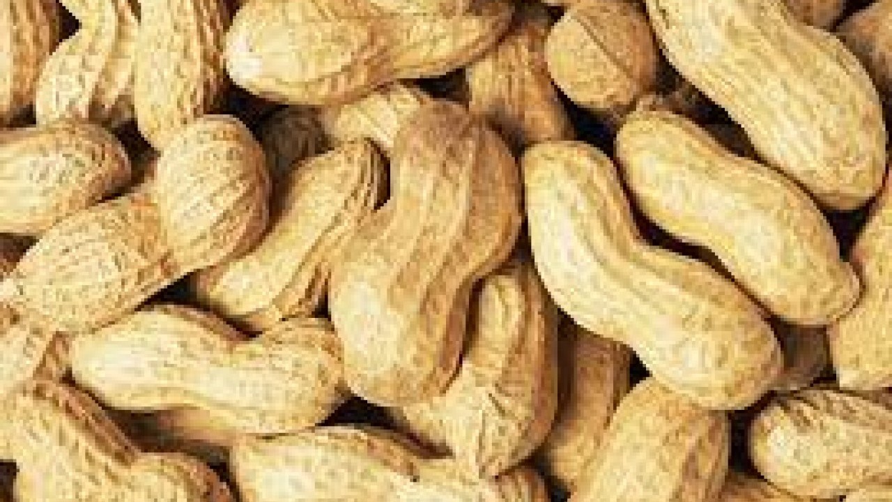 İtalya, Türkiye'den satın almıştı: Hemen geri iade etti, kanserojen madde tespit edildi