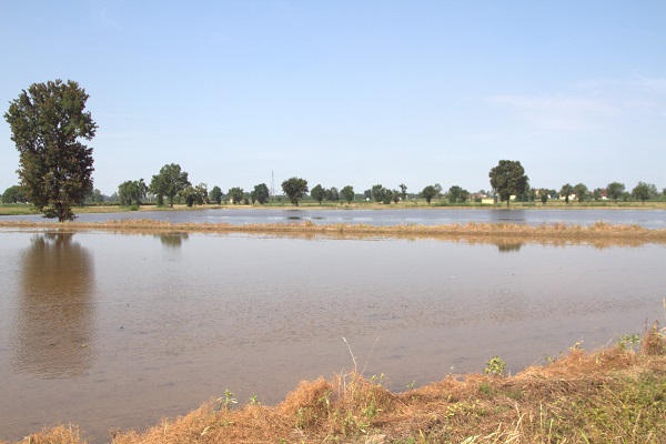 Foto - İtalya’da tarım krizi! Ekim yapılamaz hale geldi