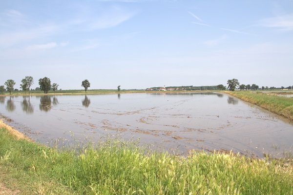 Foto - İtalya’da tarım krizi! Ekim yapılamaz hale geldi