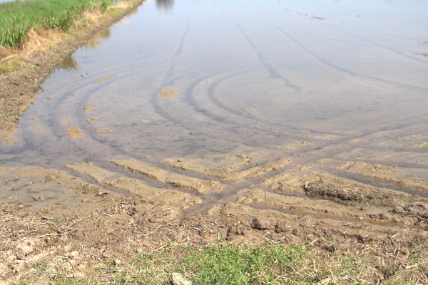 Foto - İtalya’da tarım krizi! Ekim yapılamaz hale geldi