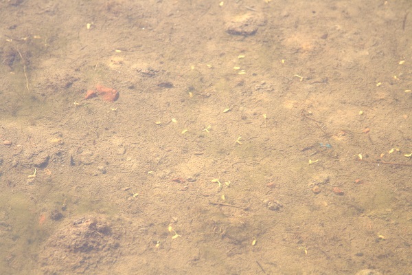 Foto - İtalya’da tarım krizi! Ekim yapılamaz hale geldi