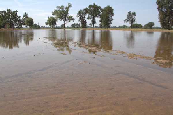 Foto - İtalya’da tarım krizi! Ekim yapılamaz hale geldi