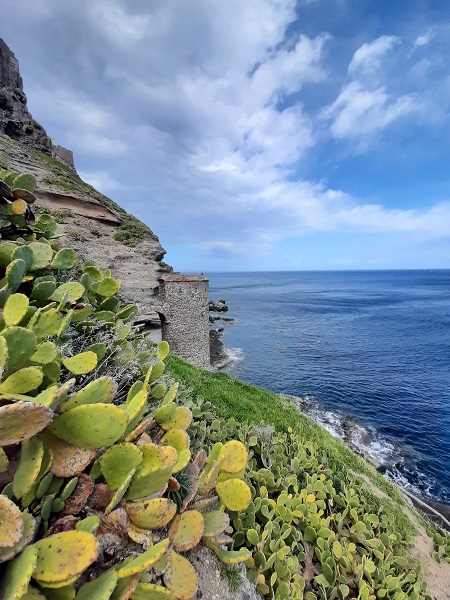 Foto - İtalya’nın "akıllı adası" tüm dünyaya örnek oluyor