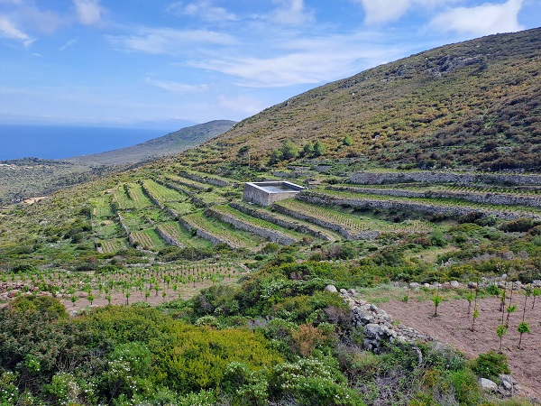 Foto - İtalya’nın "akıllı adası" tüm dünyaya örnek oluyor