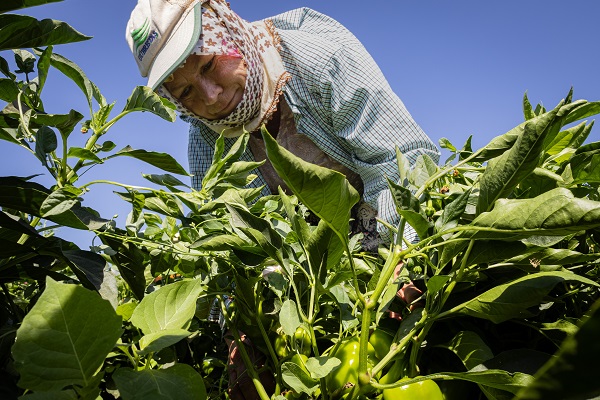 Foto - İtalyanlardan bu bibere yakın markaj