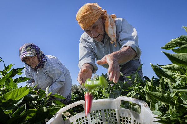 Foto - İtalyanlardan bu bibere yakın markaj