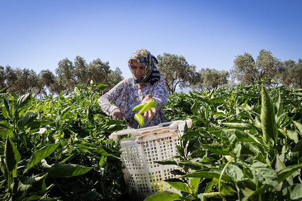 Foto - İtalyanlardan bu bibere yakın markaj