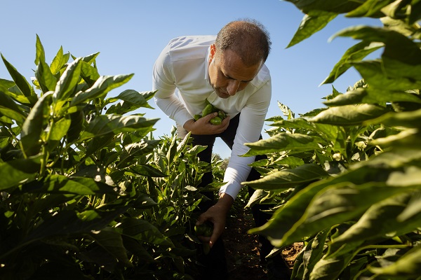 Foto - İtalyanlardan bu bibere yakın markaj