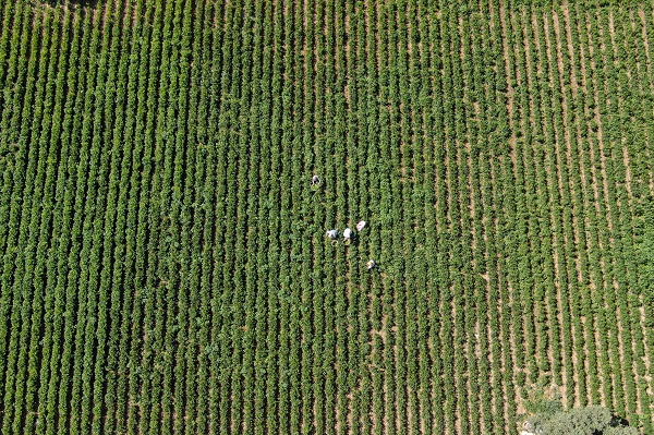 Foto - İtalyanlardan bu bibere yakın markaj