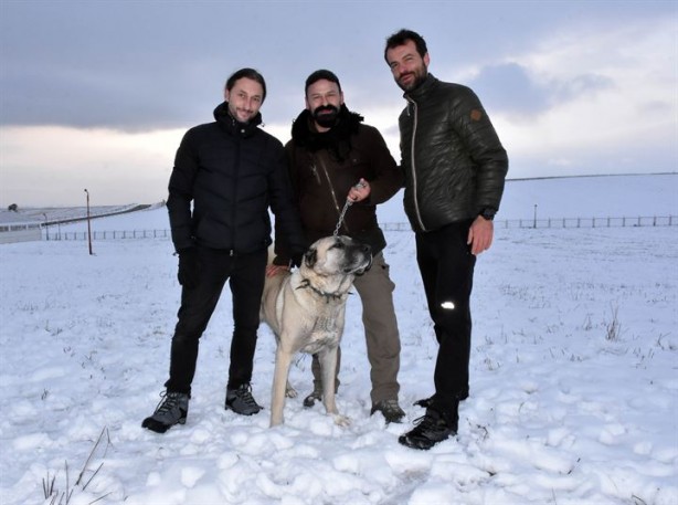 Foto - İtalyanlardan kurt saldırılarına karşı 'kangal' çözümü!