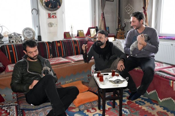 Foto - İtalyanlardan kurt saldırılarına karşı 'kangal' çözümü!