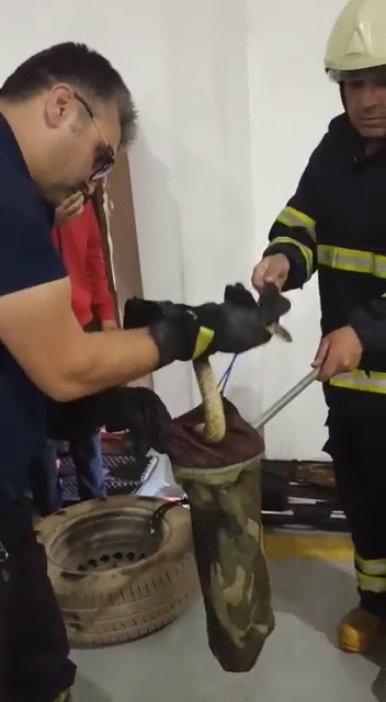 Foto - İtfaiye aracına giren yılanı itfaiyeciler çıkardı