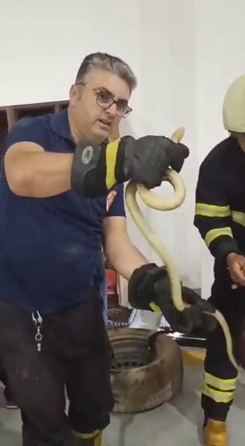 Foto - İtfaiye aracına giren yılanı itfaiyeciler çıkardı