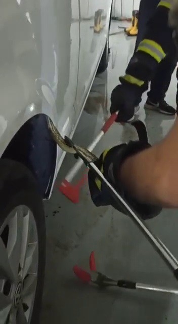 Foto - İtfaiye aracına giren yılanı itfaiyeciler çıkardı