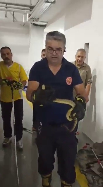 İtfaiye aracına giren yılanı itfaiyeciler çıkardı