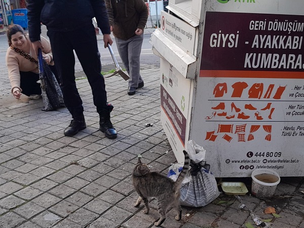 Foto - İtfaiye ekipleri seferber oldu | Küçük kedi öyle bir yere girdi ki!