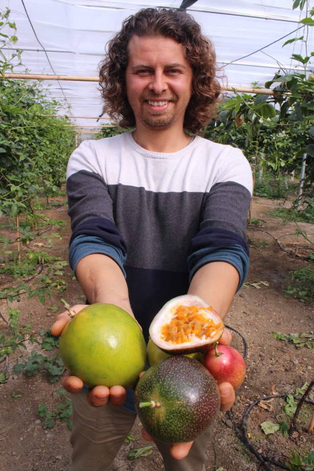 Foto - İthal meyveyi Vietnam'da görüp Türkiye'de üretmeye başladı! Aldığı sonuç şaşkına çevirdi