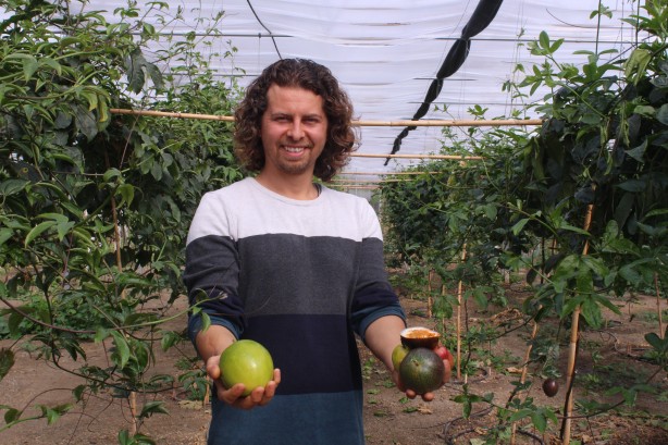 Foto - İthal meyveyi Vietnam'da görüp Türkiye'de üretmeye başladı! Aldığı sonuç şaşkına çevirdi
