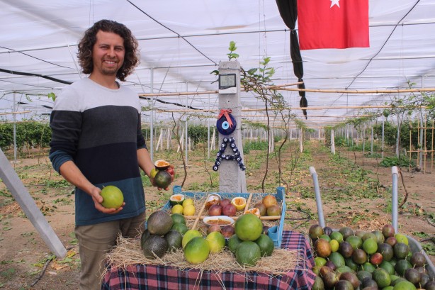 Foto - İthal meyveyi Vietnam'da görüp Türkiye'de üretmeye başladı! Aldığı sonuç şaşkına çevirdi