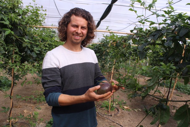 Foto - İthal meyveyi Vietnam'da görüp Türkiye'de üretmeye başladı! Aldığı sonuç şaşkına çevirdi