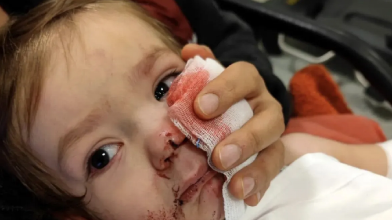 İtperestler milli güvenlik sorunu: Koruma içgüdüsüyle yapmış!