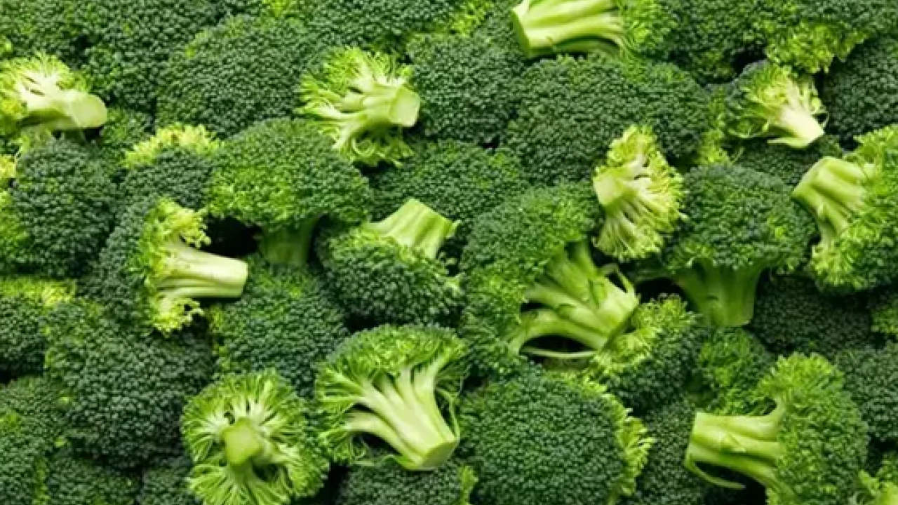 Foto - İyi gelmediği hastalık neredeyse yok! Brokoli, sadece yemeklere renk katmakla kalmaz, kansere karşı en etkili besin