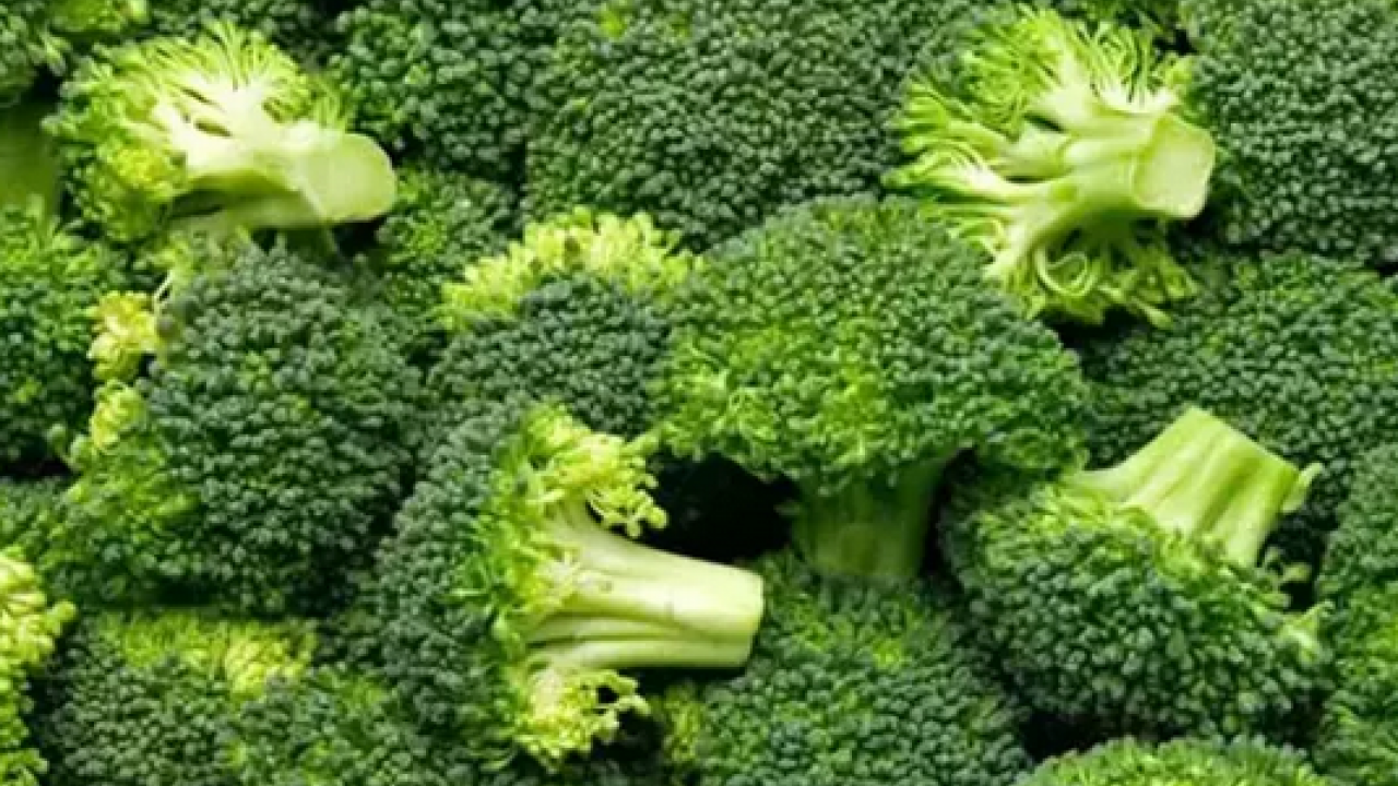 Foto - İyi gelmediği hastalık neredeyse yok! Brokoli, sadece yemeklere renk katmakla kalmaz, kansere karşı en etkili besin