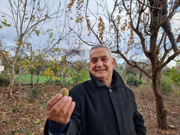 Foto - İyi görünüyor ama değil! Kayısı ağacı kış ortasında çiçek açtı