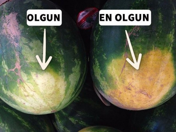 Foto - İyi karpuz nasıl seçilir?