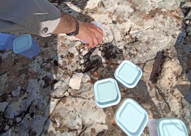 Foto - İzinsiz akrep toplayanlara ceza yağdı!