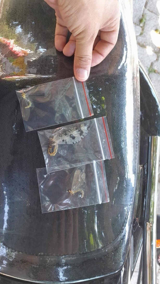 İzinsiz böcek toplayan Rus akademisyene 378 bin 141 lira para cezası