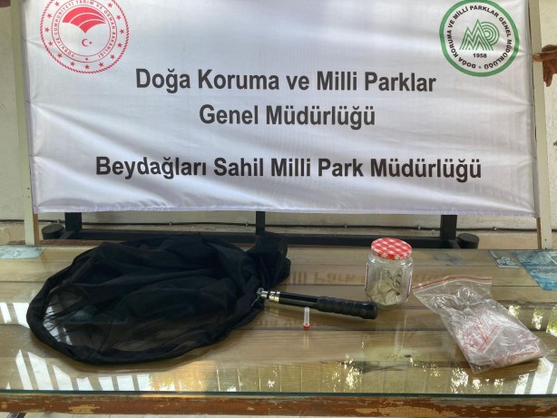 Foto - İzinsiz böcek toplayan Rus akademisyene 378 bin 141 lira para cezası