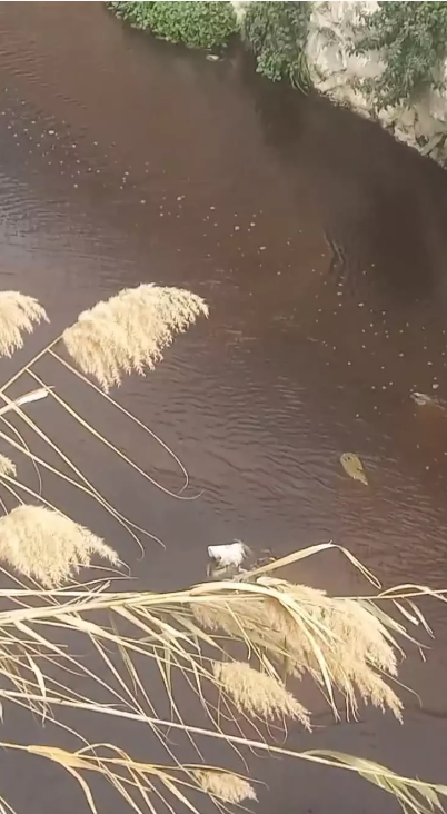 Foto - İzmir Büyükşehir Belediyesi cezayı yedi! Kötü koku bıktırdı