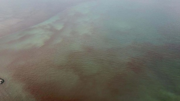 Foto - İzmir Körfezi kırmızıya büründü! Uzmanlar uyardı!