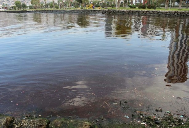 Foto - İzmir Körfezi kırmızıya büründü! Uzmanlar uyardı!