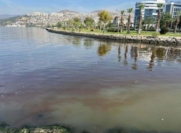 İzmir Körfezi kırmızıya büründü! Uzmanlar uyardı!