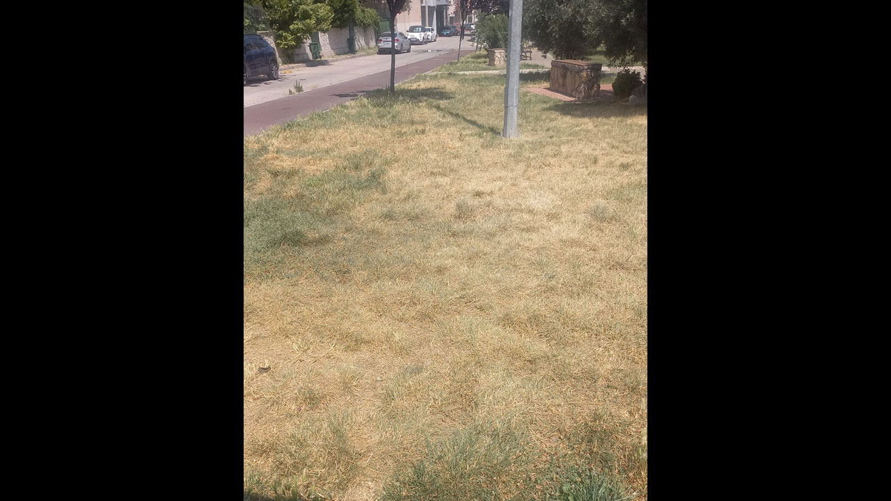 Foto - İzmir tel tel dökülüyor