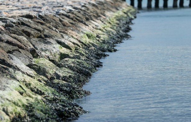 İzmir'de deniz çekildi