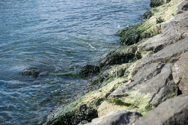 Foto - İzmir'de deniz çekildi