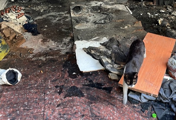 Foto - İzmir'de iş hanında yangın! 1 kişi ve 2 kedi yavrusu öldü