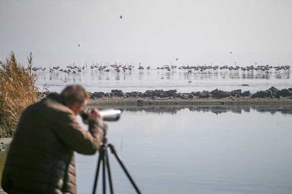Foto - İzmir'de kış kuşu sayısında artış gözleniyor